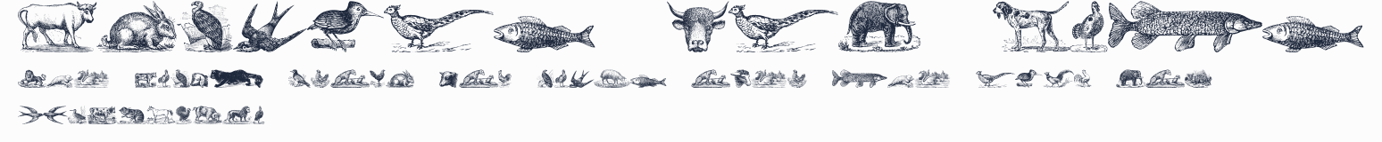 Animals Old Cuts預覽圖