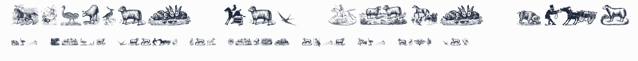 Animals Old Cuts Two預覽圖