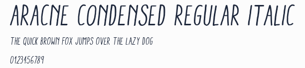 Aracne Condensed Regular Italic預覽圖