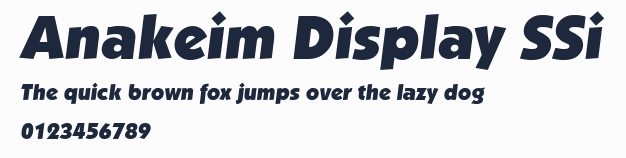 Anakeim Display SSi預覽圖