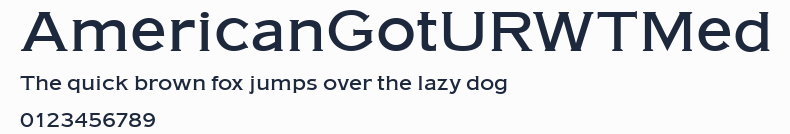 AmericanGotURWTMed預覽圖