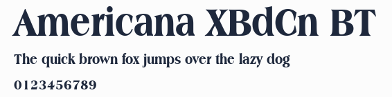 Americana XBdCn BT預覽圖