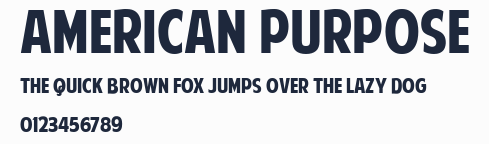 American Purpose預覽圖