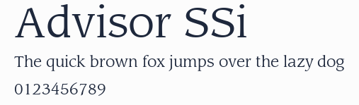 Advisor SSi預覽圖