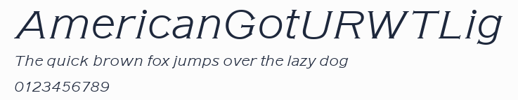 AmericanGotURWTLig預覽圖