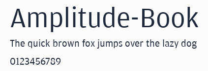 Amplitude-Book預覽圖