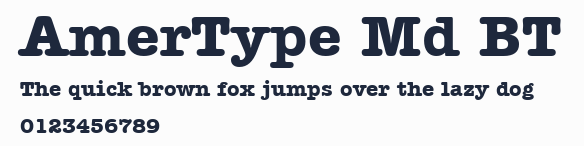 AmerType Md BT預覽圖
