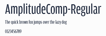 AmplitudeComp-Regular預覽圖