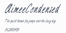 AimeeCondensed預覽圖
