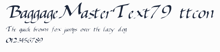 BaggageMasterText79 ttcon預覽圖