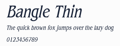 Bangle Thin預覽圖