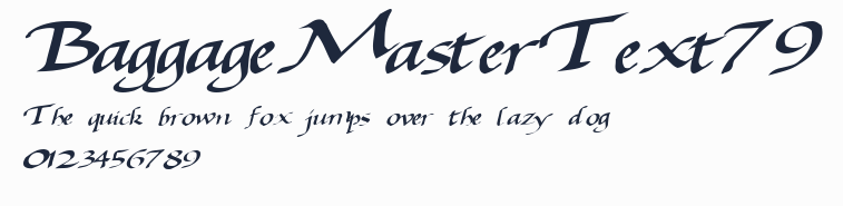 BaggageMasterText79預覽圖