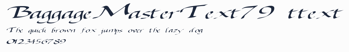 BaggageMasterText79 ttext預覽圖