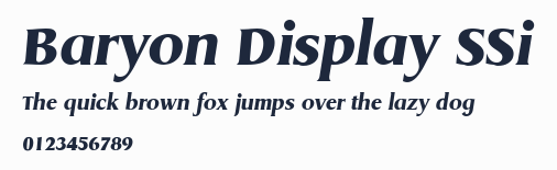 Baryon Display SSi預覽圖