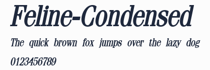 Feline-Condensed預覽圖