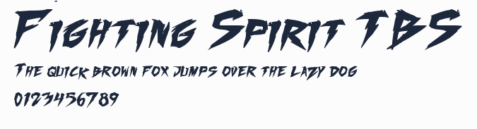 Fighting Spirit TBS預覽圖