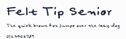 Felt Tip Senior預覽圖