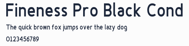 Fineness Pro Black Cond預覽圖