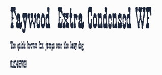 Faywood  Extra Condensed WF預覽圖