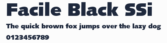 Facile Black SSi預覽圖