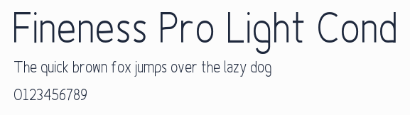 Fineness Pro Light Cond預覽圖