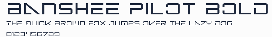 Banshee Pilot Bold預覽圖