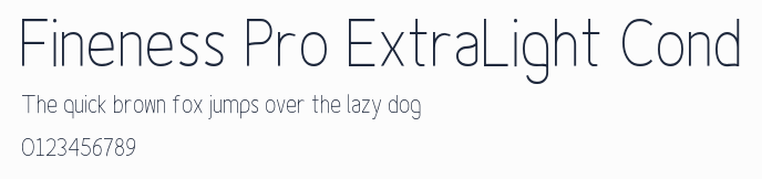 Fineness Pro ExtraLight Cond預覽圖