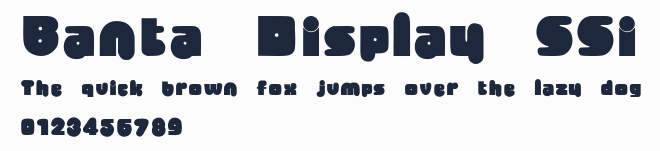 Banta Display SSi預覽圖