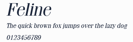 Feline預覽圖