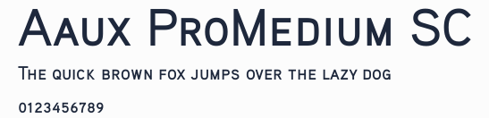 Aaux ProMedium SC預覽圖