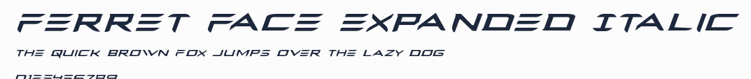 Ferret Face Expanded Italic預覽圖