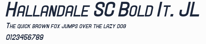 Hallandale SC Bold It. JL