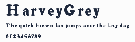 HarveyGrey 預覽圖
