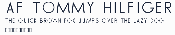 AF TOMMY HILFIGER預覽圖