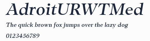 AdroitURWTMed預覽圖