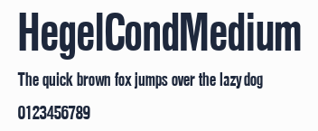 HegelCondMedium預覽圖