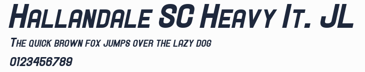 Hallandale SC Heavy It. JL預覽圖