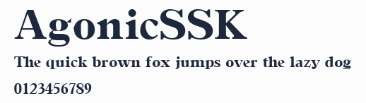 AgonicSSK預覽圖
