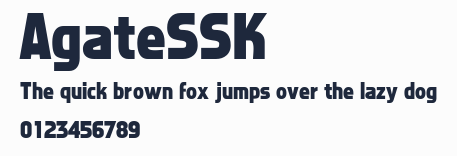 AgateSSK預覽圖