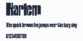 Harlem預覽圖