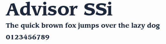 Advisor SSi預覽圖