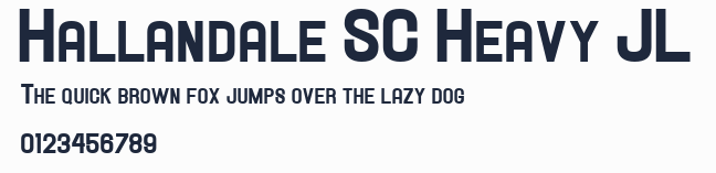 Hallandale SC Heavy JL預覽圖