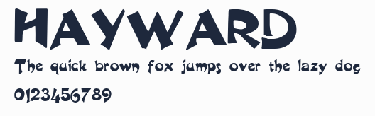 HAYWARD預覽圖