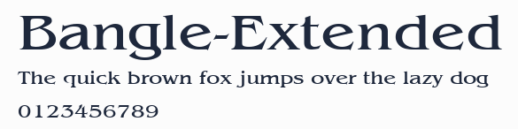 Bangle-Extended預覽圖