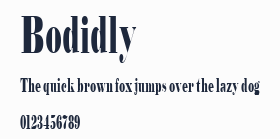 Bodidly預覽圖