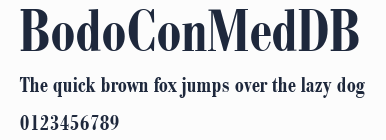 BodoConMedDB預覽圖