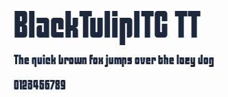 BlackTulipITC TT預覽圖