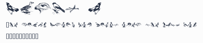 birds a預覽圖