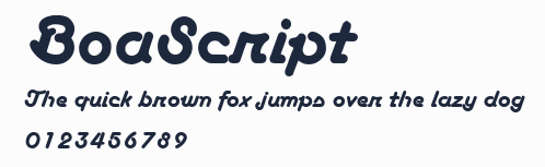 BoaScript預覽圖