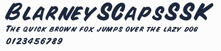 BlarneySCapsSSK預覽圖